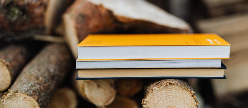 Stack of three books resting on top of chopped logs