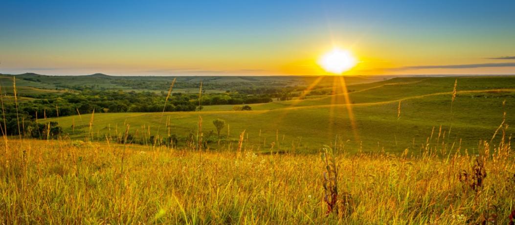 Sunset over hills of grass